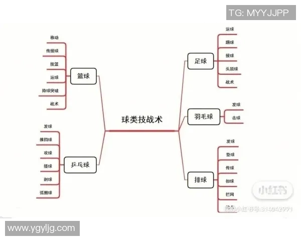 西安篮球队快攻战术解析与球队发展趋势探讨